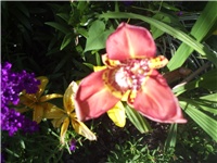 6a8ef7ff-Picture 001.jpg